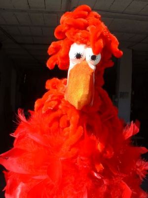 CONTES D´ANIMALS